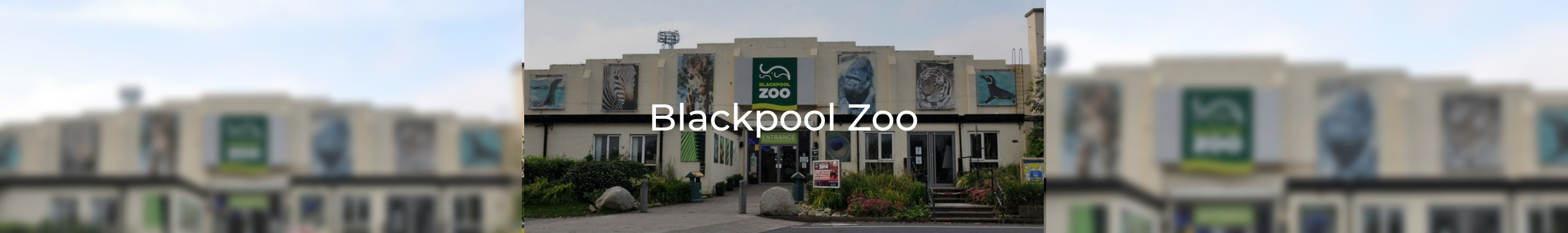 Blackpool zoo